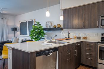 The Waterline | Interior